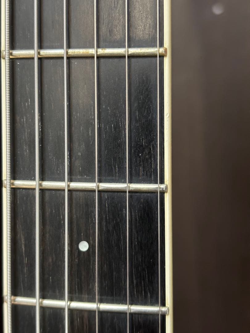 Taylor T5-S1 エレアコ