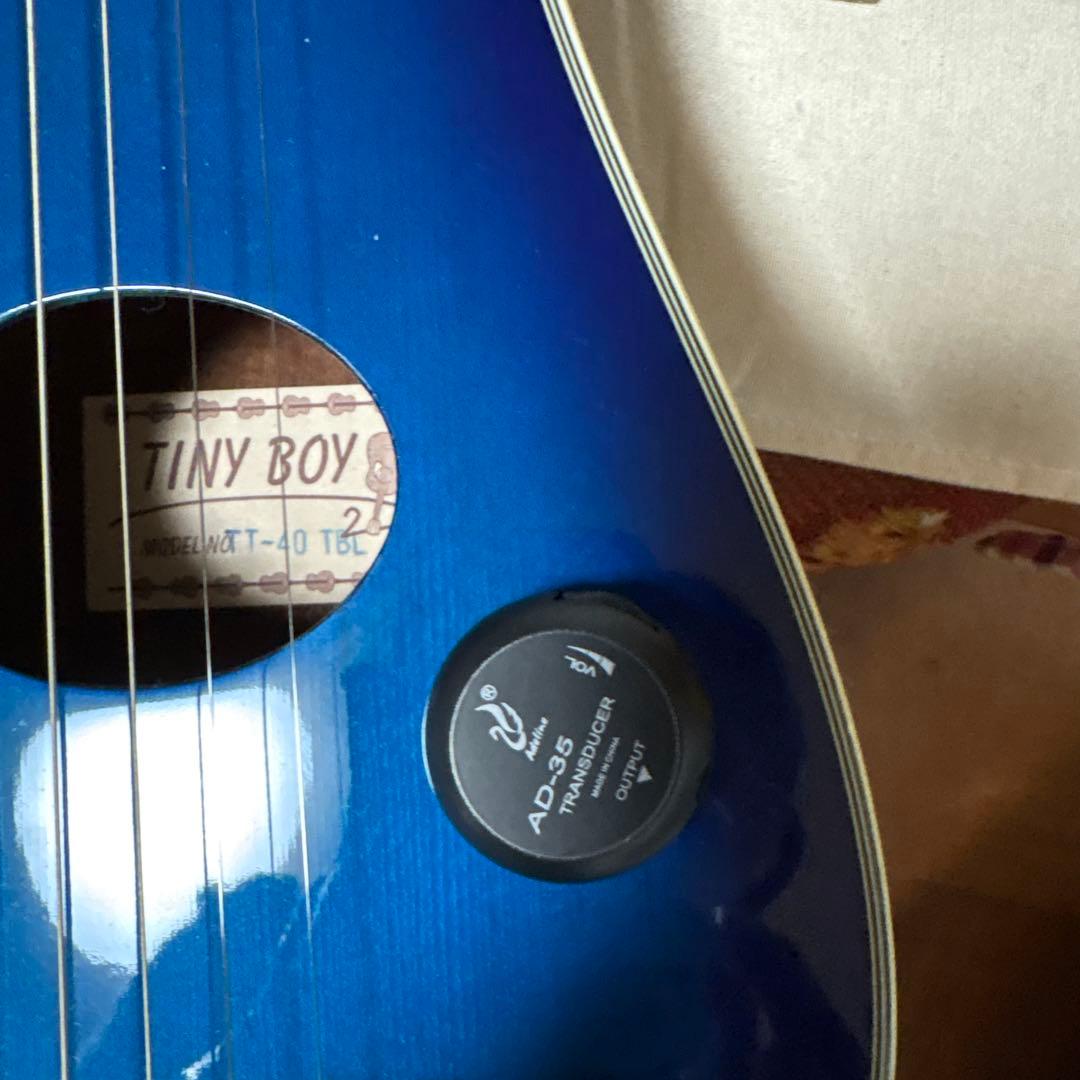 アコースティックギター (ブルー)ソフトケース付き