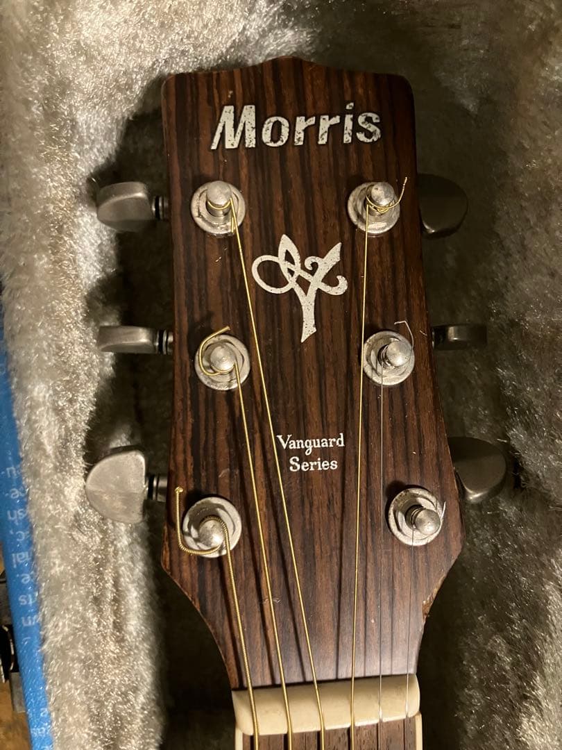 Morris Vanguard Series アコースティックギター　mv701