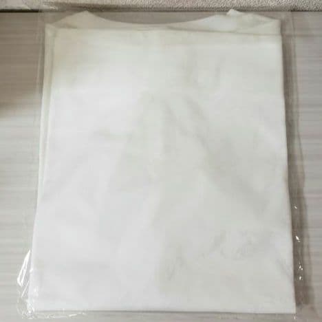 ☺️新品未開封☺️CDL Atelier Layered L/S Tee★白★L