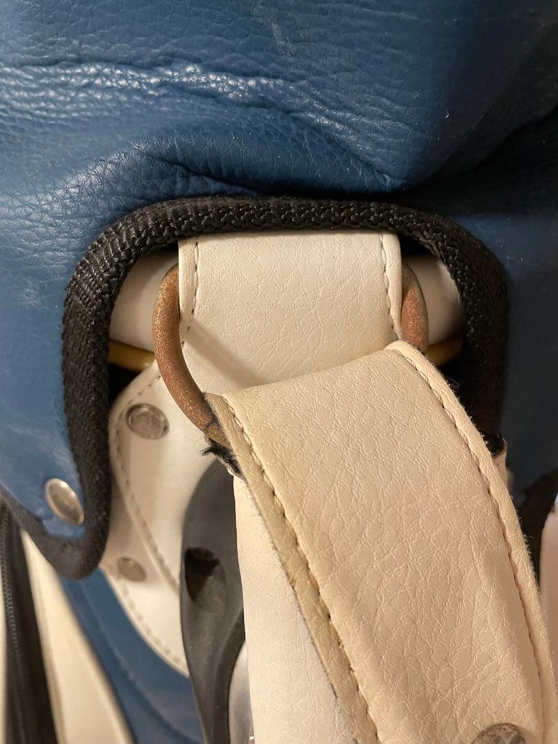 TaylorMade ゴルフバッグ 青白