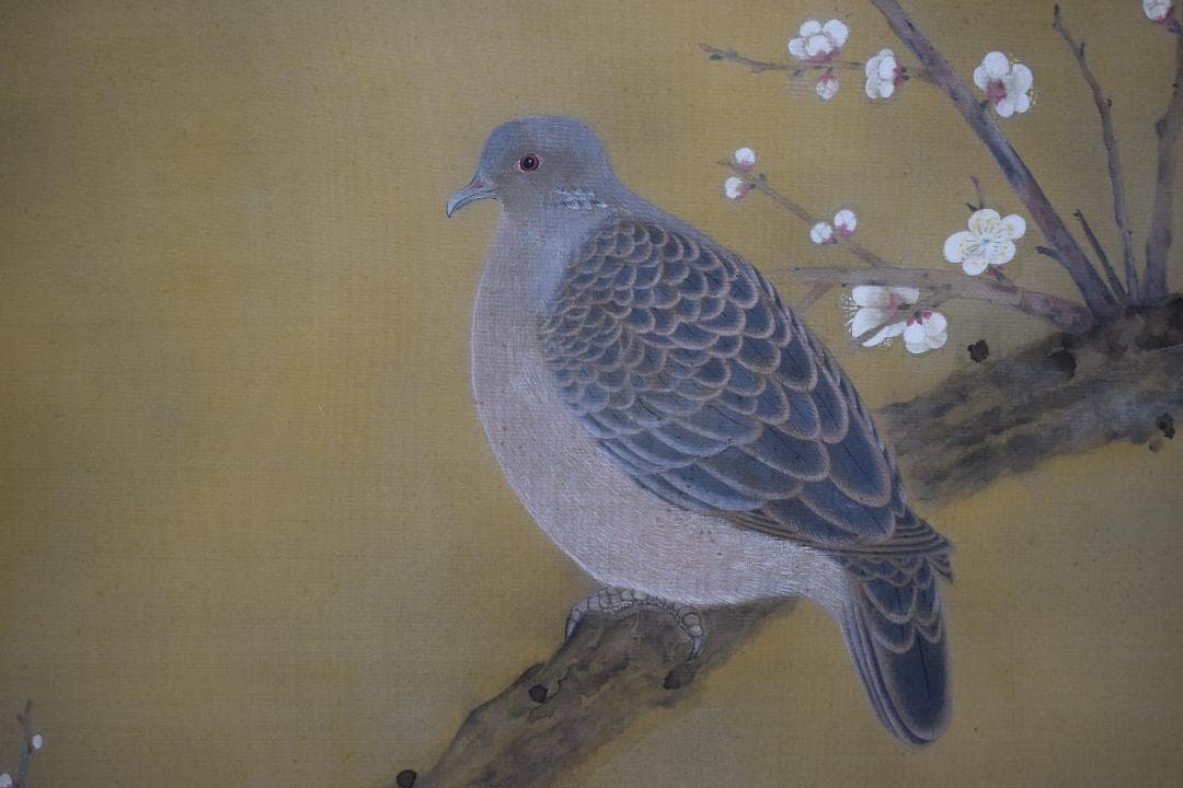 【模写】土田麦僊/梅花鳩之図/掛軸☆宝船☆X-632