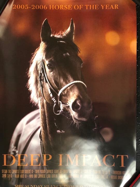 武豊直筆サイン入りディープインパクト  ポスター