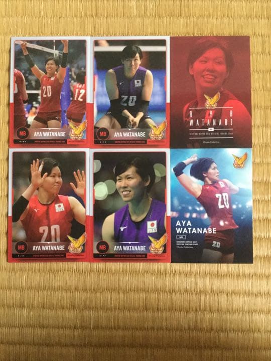 バレーボール日本女子代表 2019 火の鳥NIPPON 渡邊彩 6枚セット