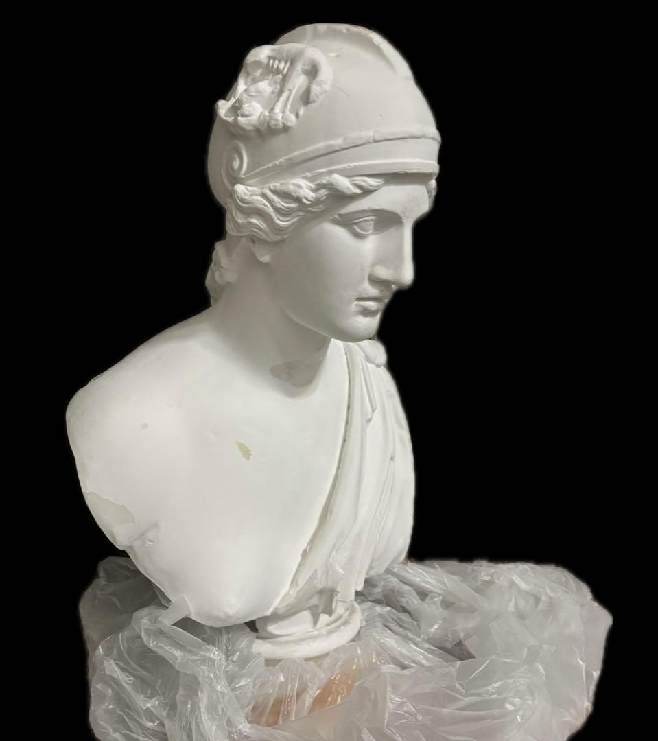 【新品価格88000円】石膏像 アマゾン胸像