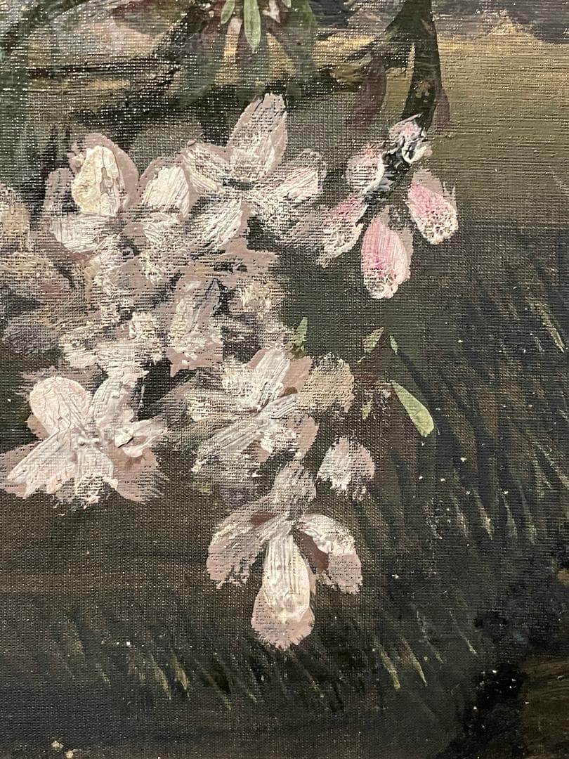 「真作」作者不明「桜の図」風景画　油彩画　額装　サイン有り