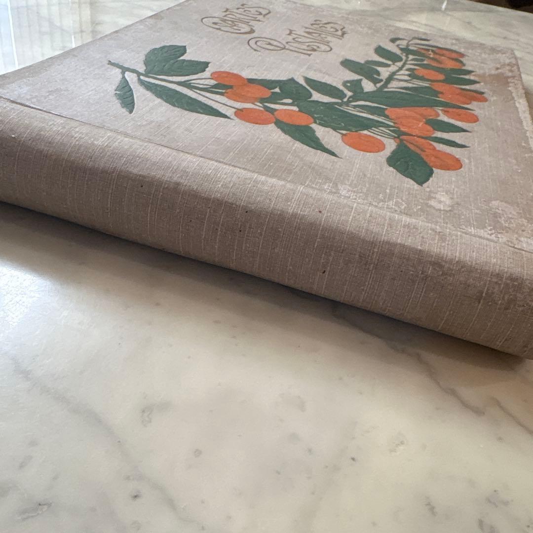 フランス　アンティーク　ポストカード　アルバム　CARTES POSTALES