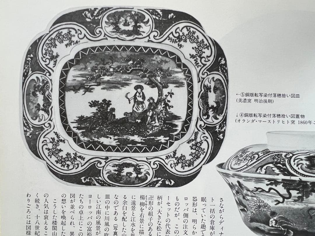 染付 銅版 転写 印判 皿 大皿 明治 図変わり 骨董品 美濃窯 瀬戸