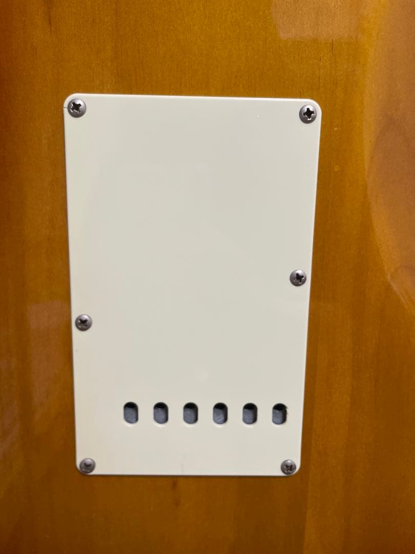 チ*ー様 coolz zst-1r Mod エレキギター