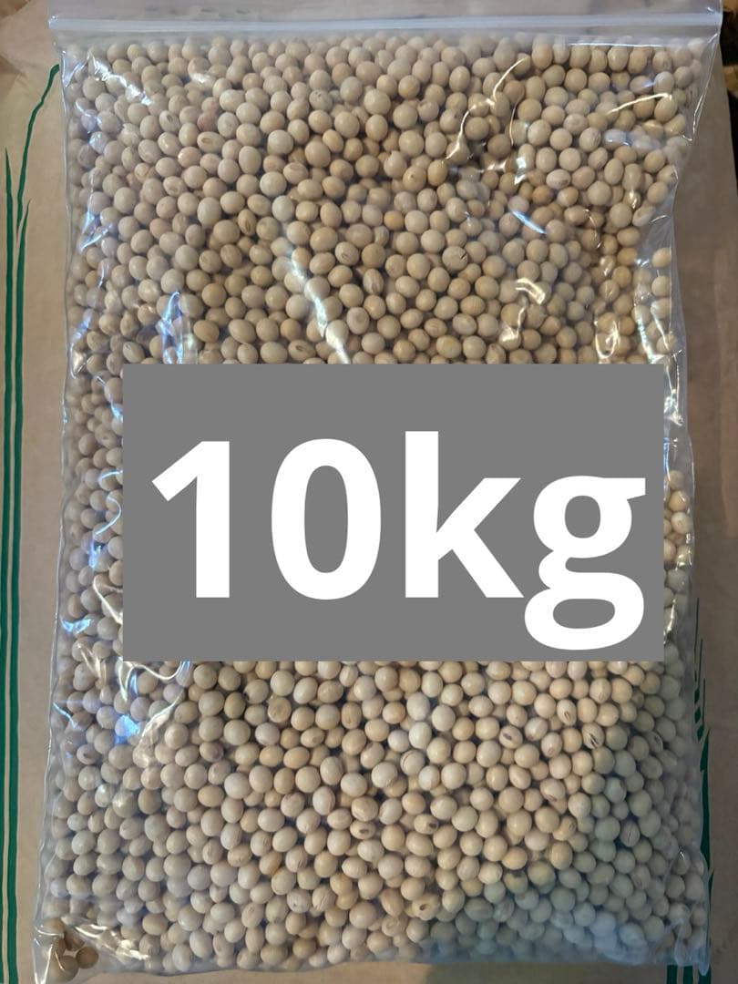 令和6年産 三重県産 フクユタカ 23kg 大豆