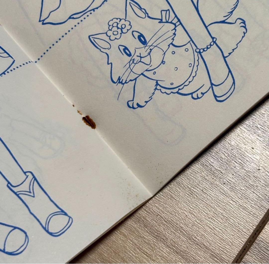 リリー&マリー ぬりえ キルキルファッション きせかえ セイカのぬりえ