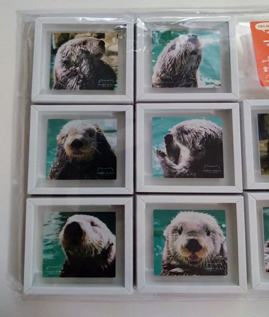 マリンワールド海の中道　額縁マグネット(ぜんぶリロ 第2弾)コンプリートセット