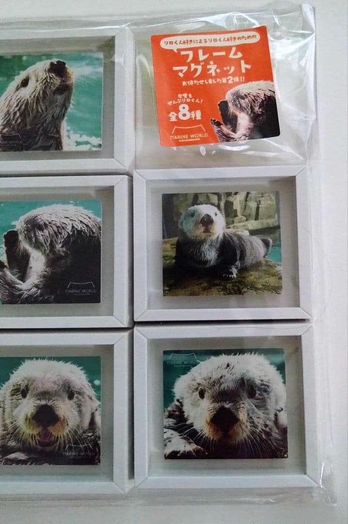 マリンワールド海の中道　額縁マグネット(ぜんぶリロ 第2弾)コンプリートセット