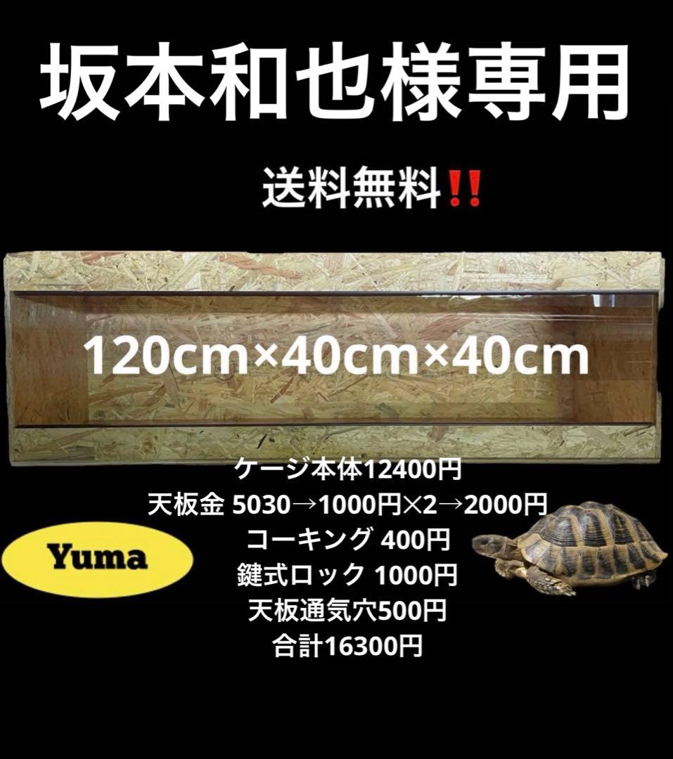 坂本和也　1204040