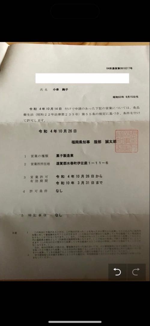 mayuyu　おやつ便　シフォンケーキサンド　チーズケーキ　テリーヌ