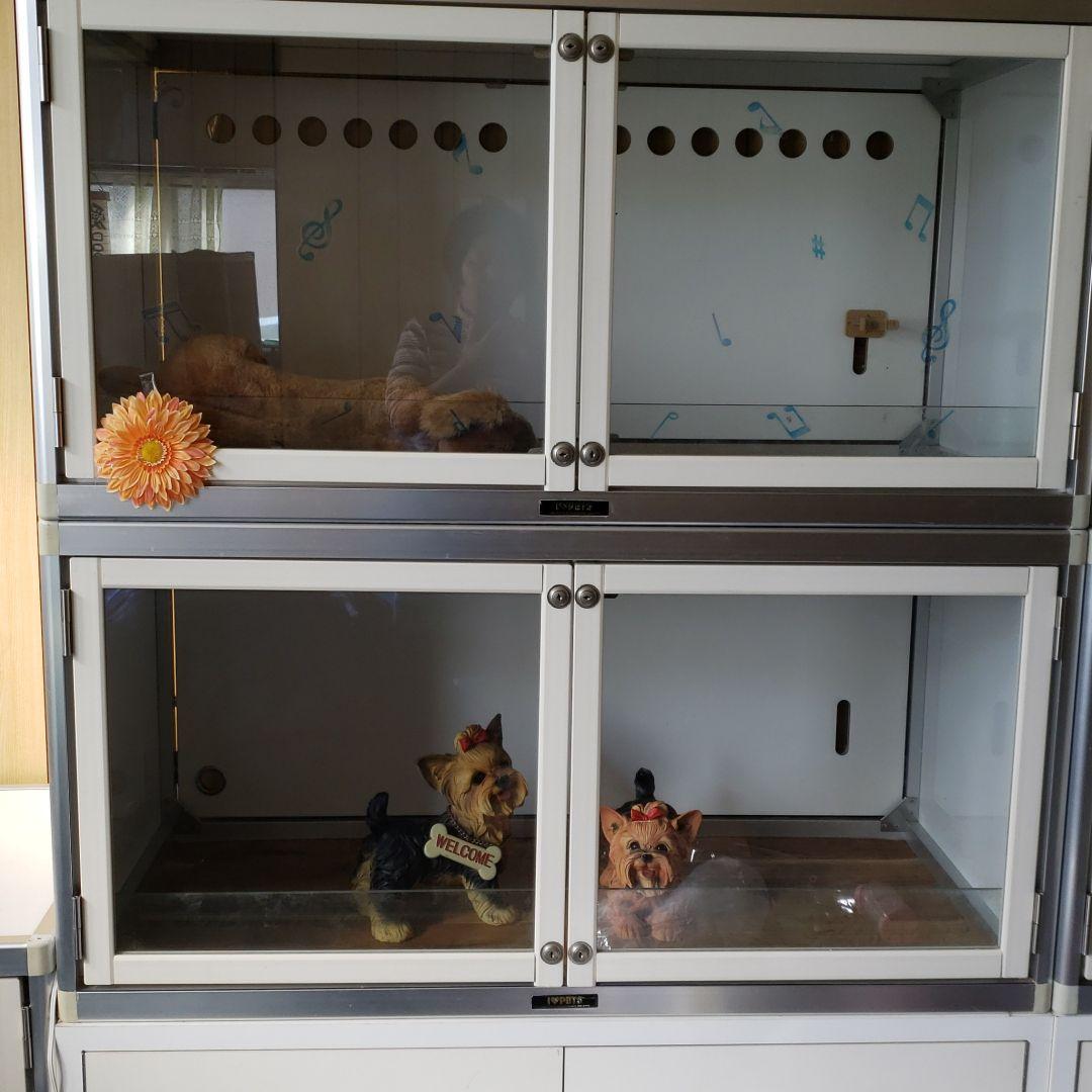 ペットマンション