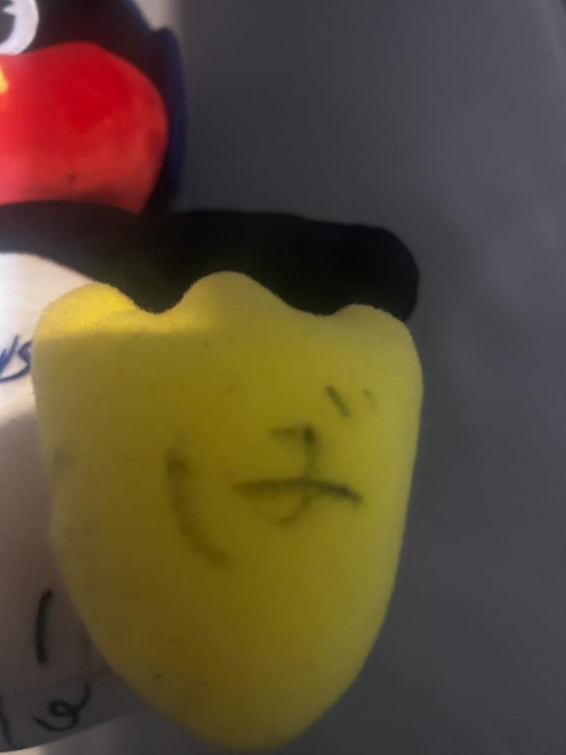 つば九郎　ぬいぐるみ　直筆サイン入り