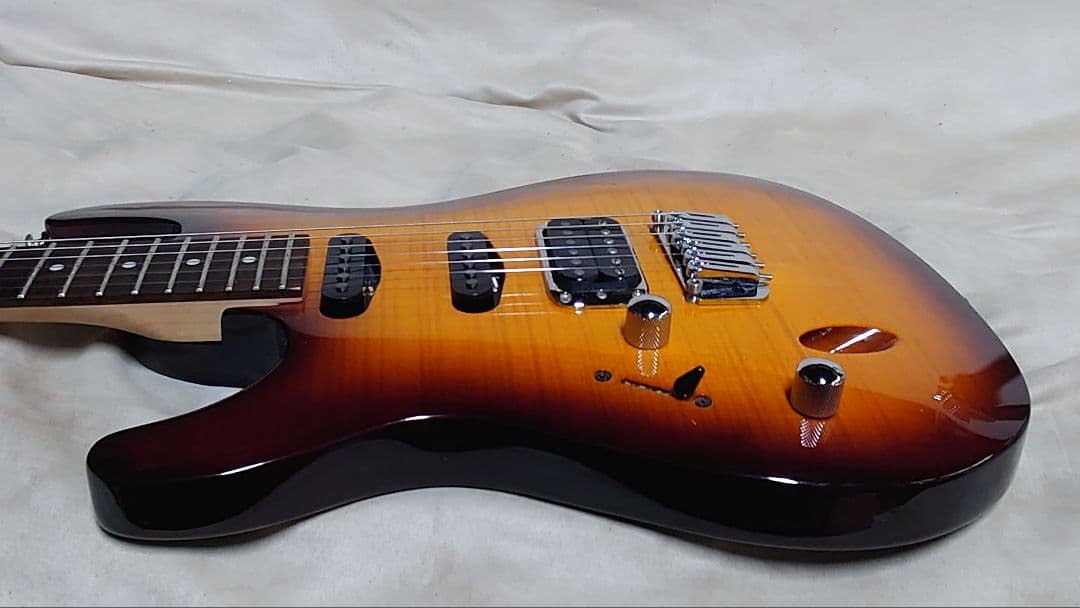 アイバニーズ SAシリーズ レフティ 社外ソフトケース付き