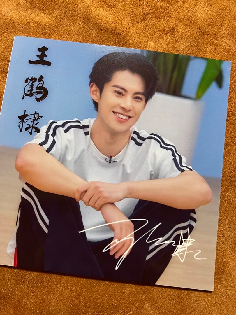 蒼蘭訣 王鶴棣　110枚写真入り個人写真集ワンホーディー写真集34p2023-1