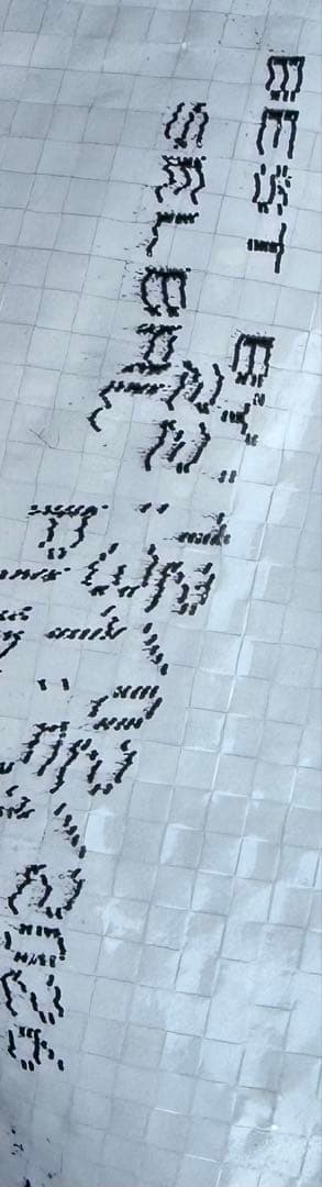 セレクトバランス　15kg 入荷しました在庫3