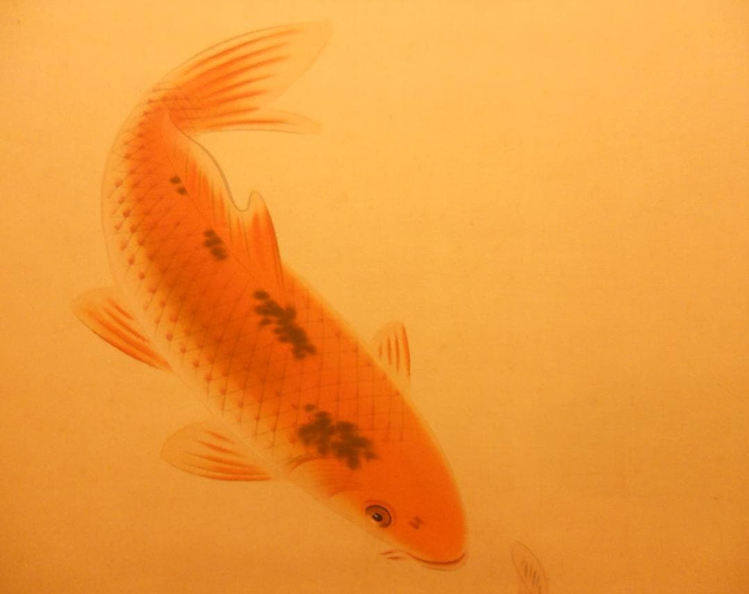 掛け軸 長田青閑 『 鯉 』 絹本 希少 軸装 茶道具 掛軸 美品 です。