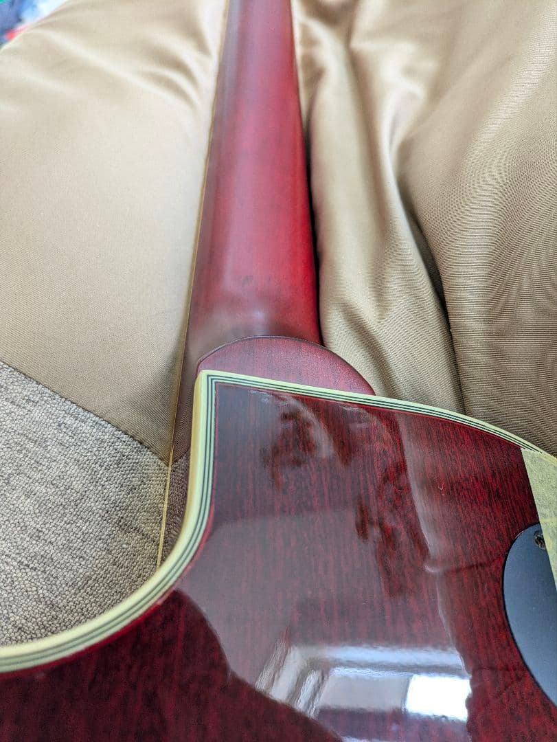 ギター Epiphone Les Paul Custom Prophecy GX