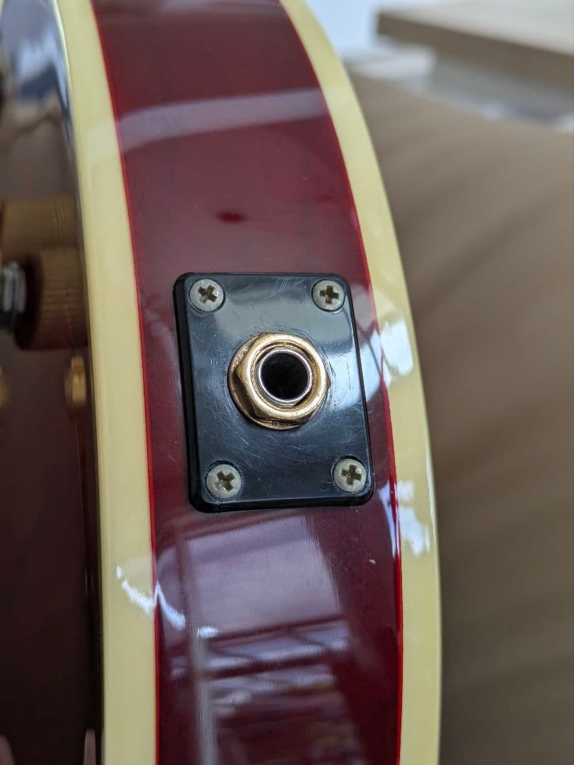 ギター Epiphone Les Paul Custom Prophecy GX