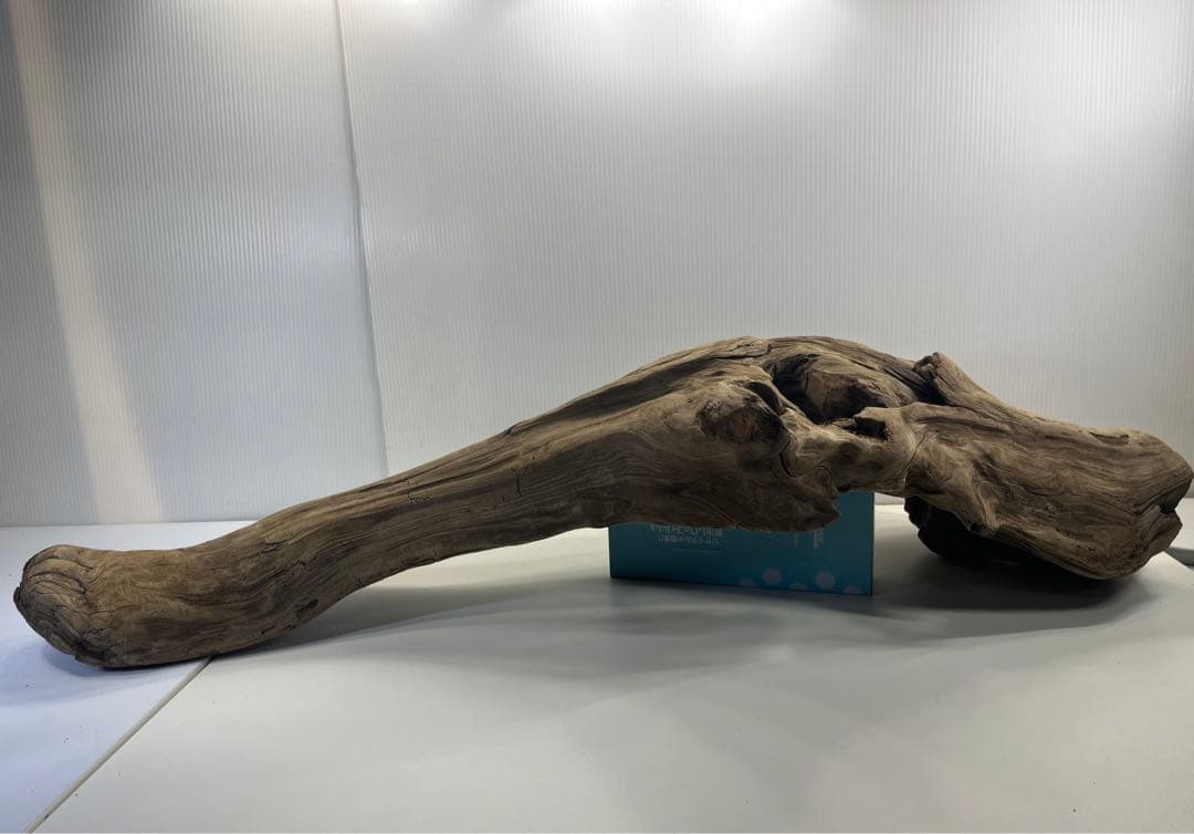 V45特大流木 アク抜き済み流木 爬虫類シェルター 登り木 インテリア 生け花