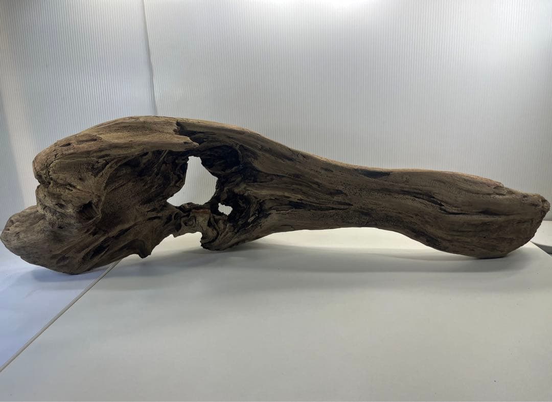 V45特大流木 アク抜き済み流木 爬虫類シェルター 登り木 インテリア 生け花