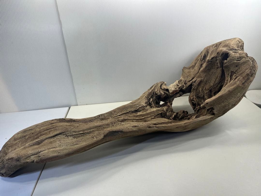 V45特大流木 アク抜き済み流木 爬虫類シェルター 登り木 インテリア 生け花