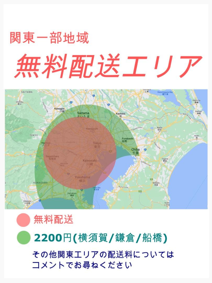 【超人気BIKKE】ビッケポーラーe12AHバッテリーブリヂストン Y2078
