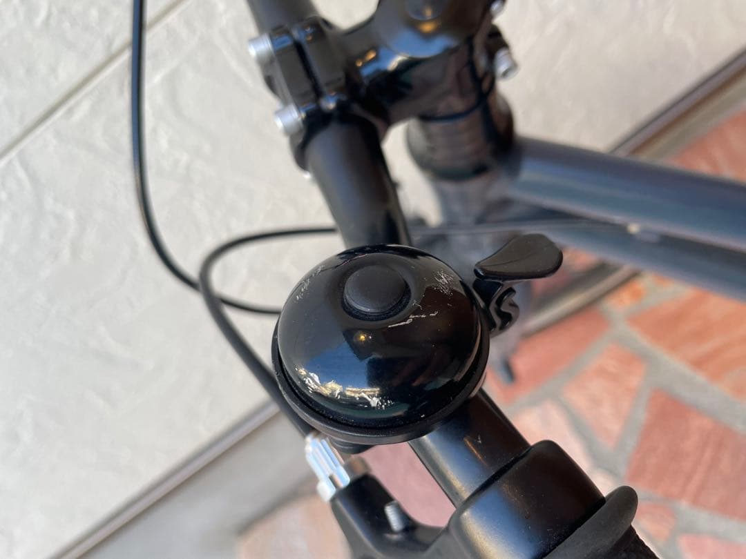 RITEWAY キッズバイク ブラック 自転車