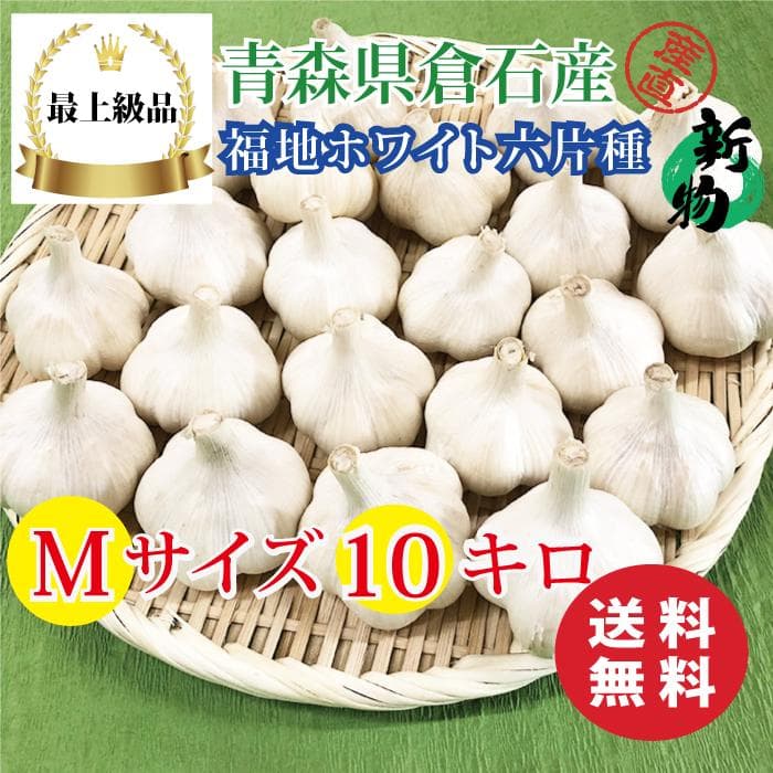 青森県倉石産 福地ホワイト六片種 Mサイズ10キロ 送料無料