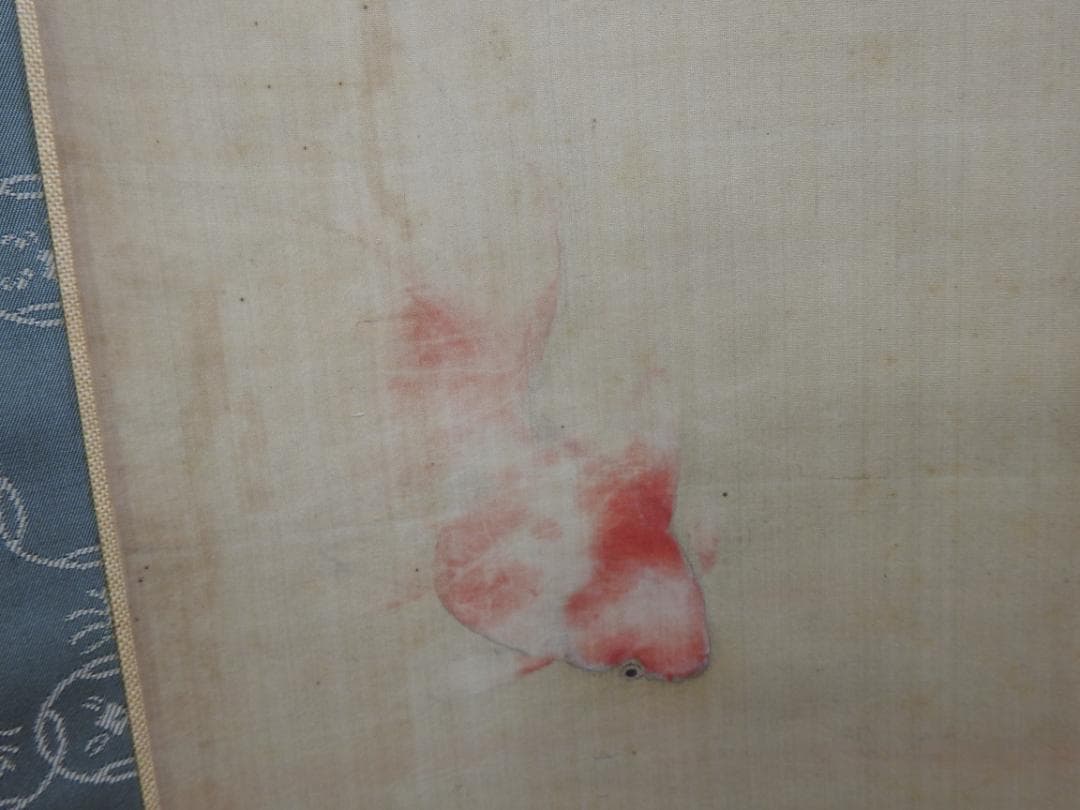 春耕　金魚図　保存箱　MA835