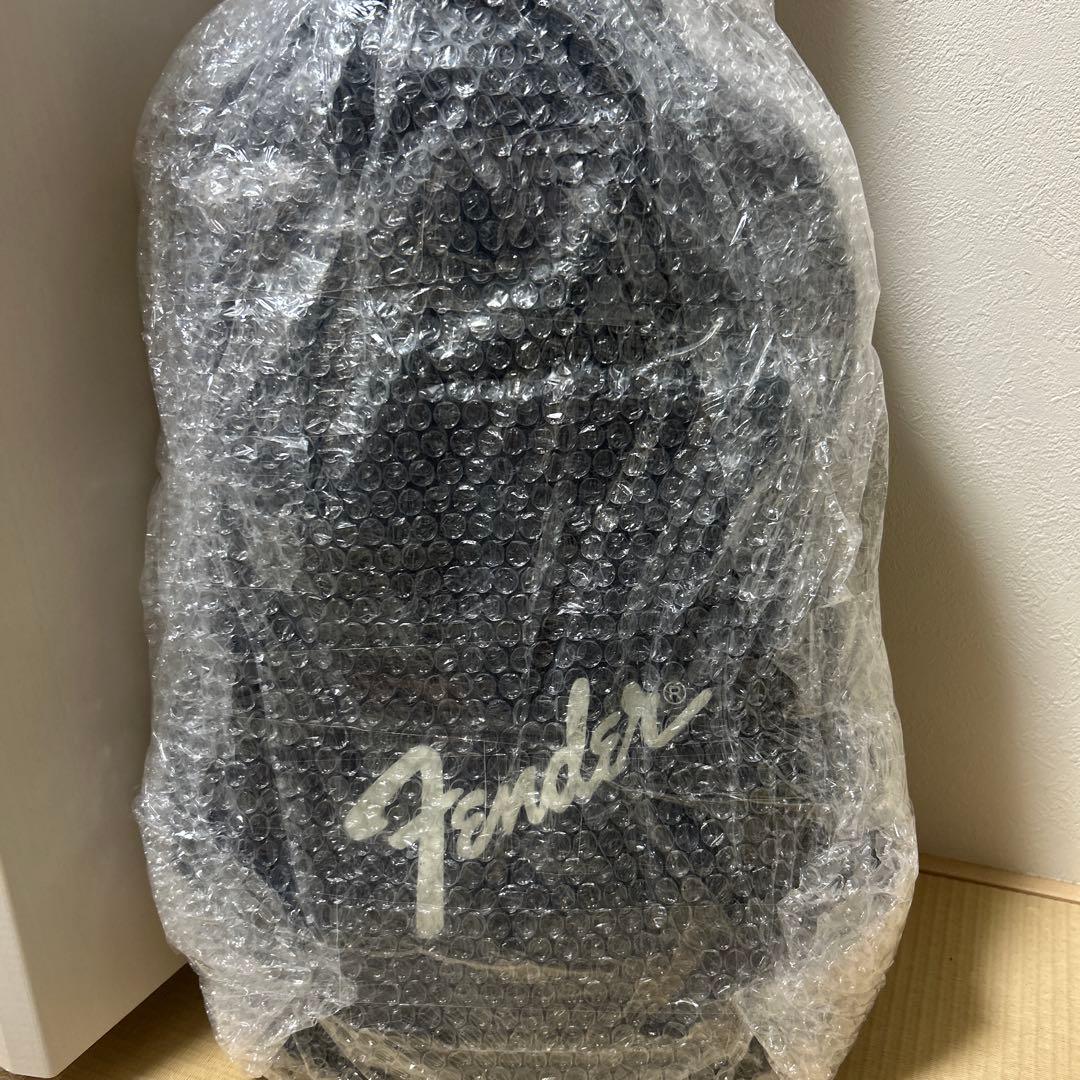 Coolz ZST-M1R ミディアムスケール　fenderソフトケース付き。