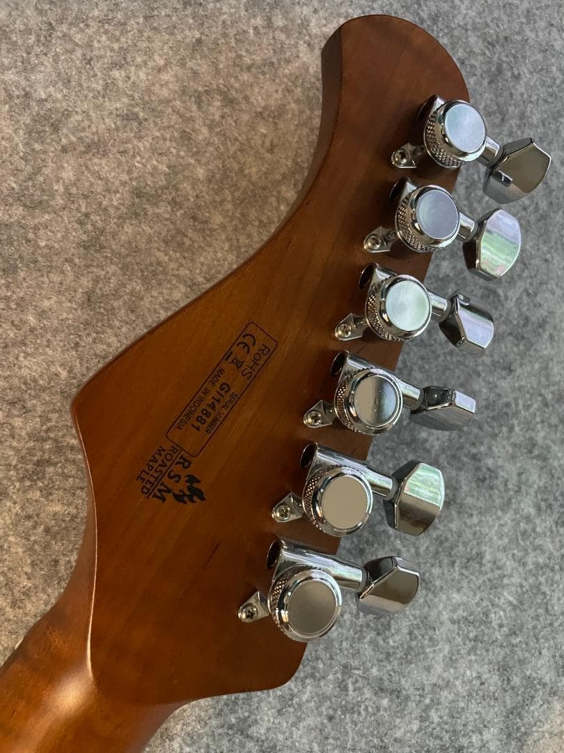 ドラゴンマンさん。Bacchus BSH-AGED, RSM/CR エレキギター