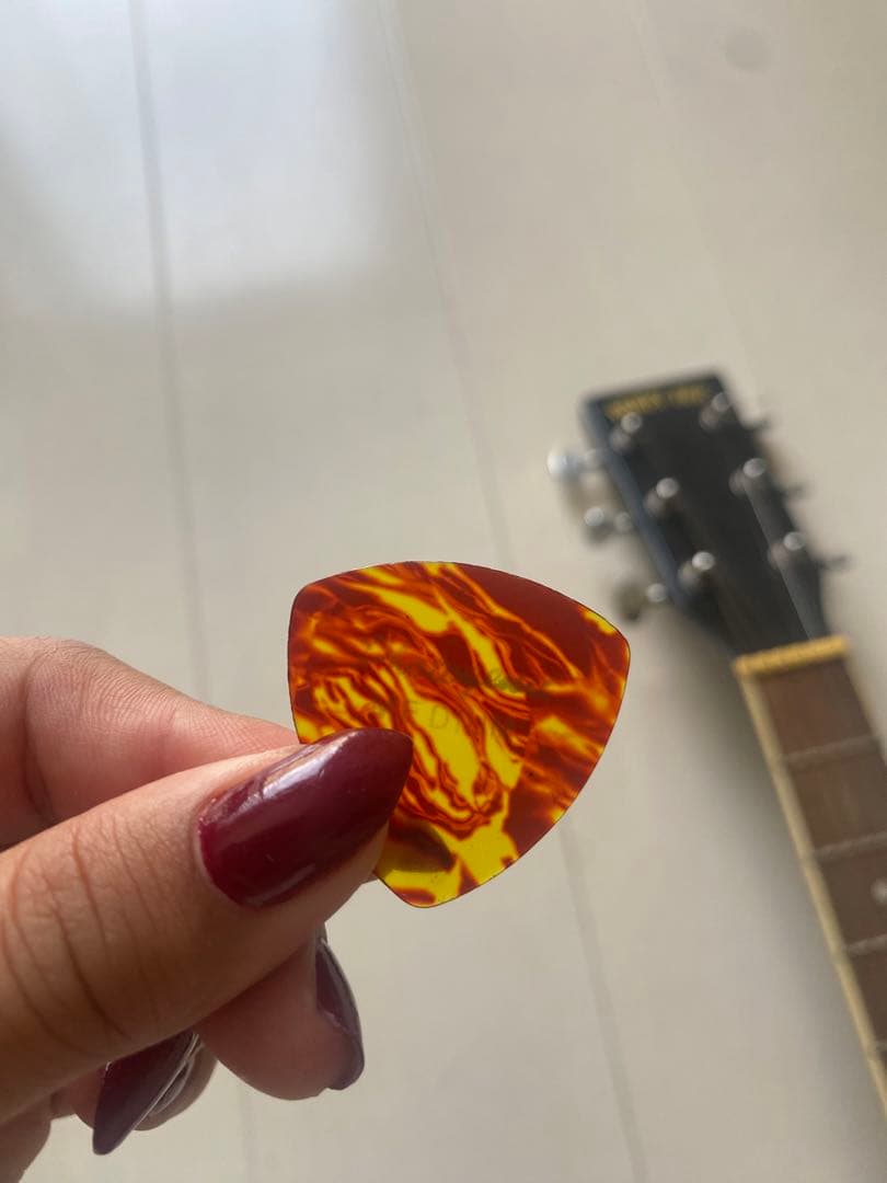 HONEY BEE ハニービー アコースティックギターW-15/BK