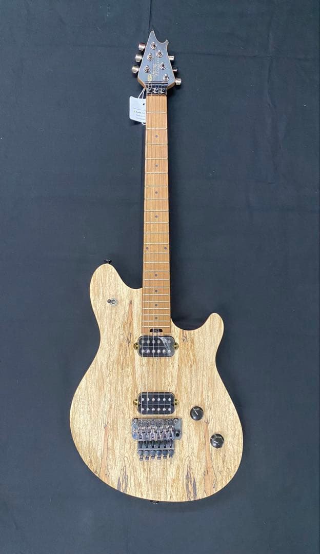 EVH エレキギター★ソフトケース付★