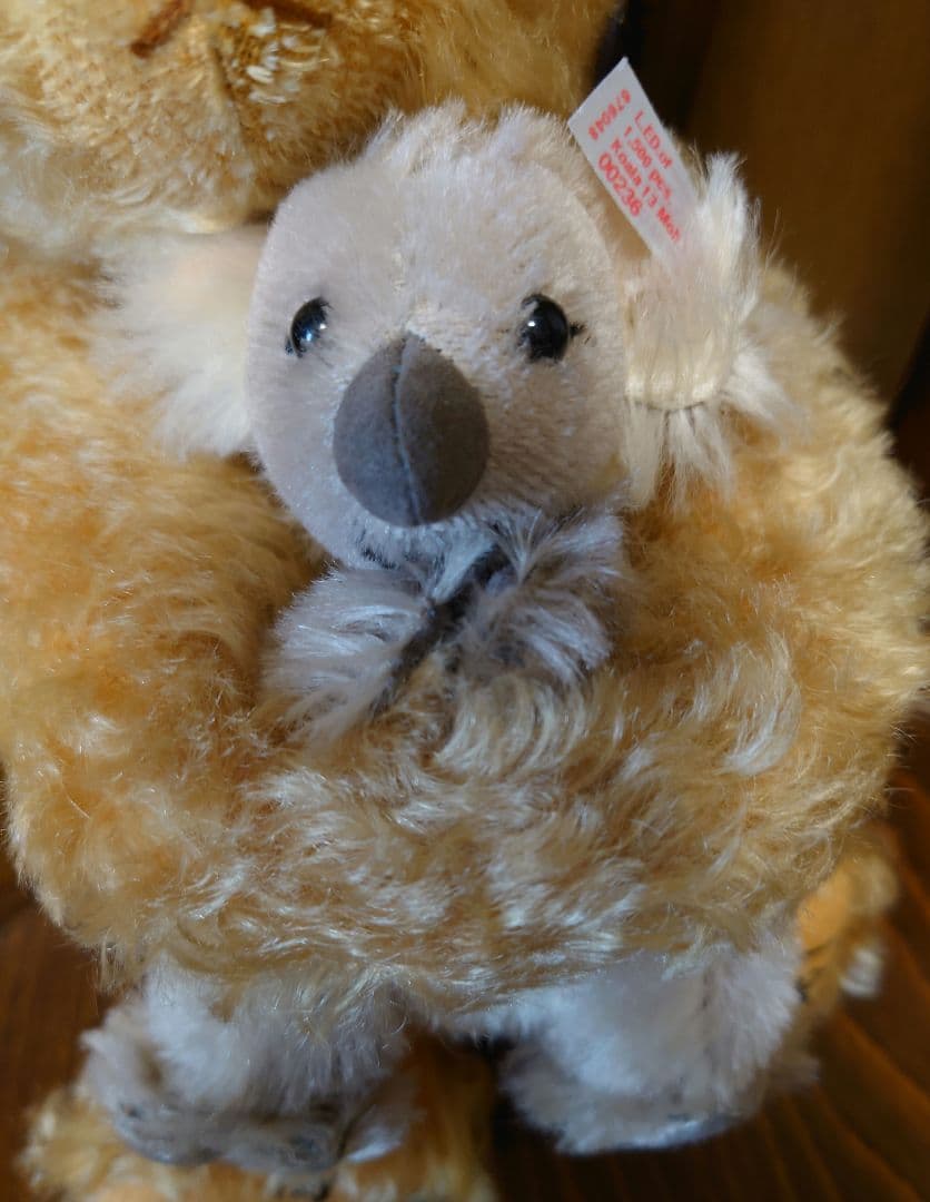 シュタイフ　オーストラリア限定テディベア