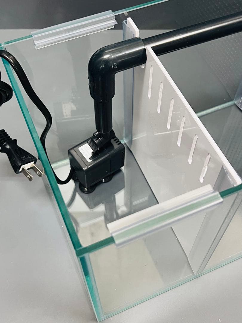 1台限定　特注水槽　600×200×200 3室　クリア　Rioポンプ付　未使用