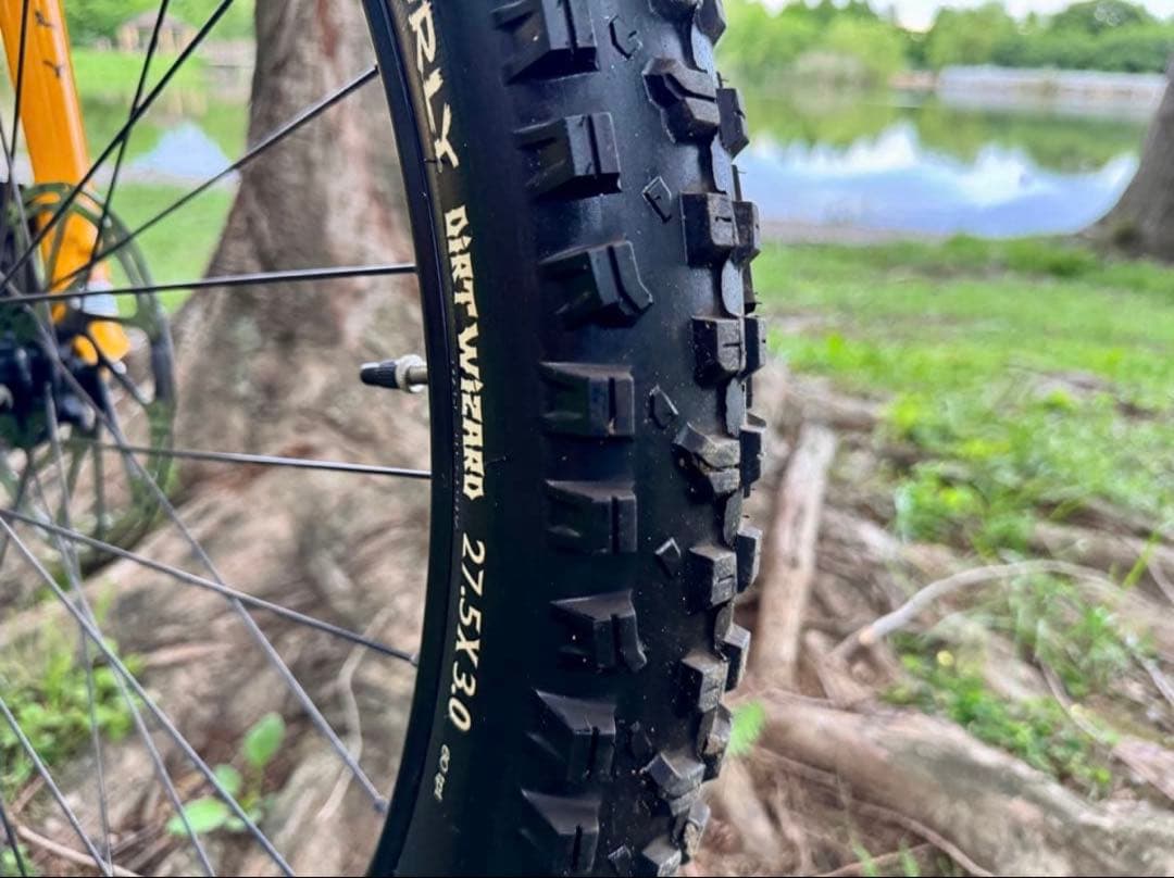 ジャイアントマン様