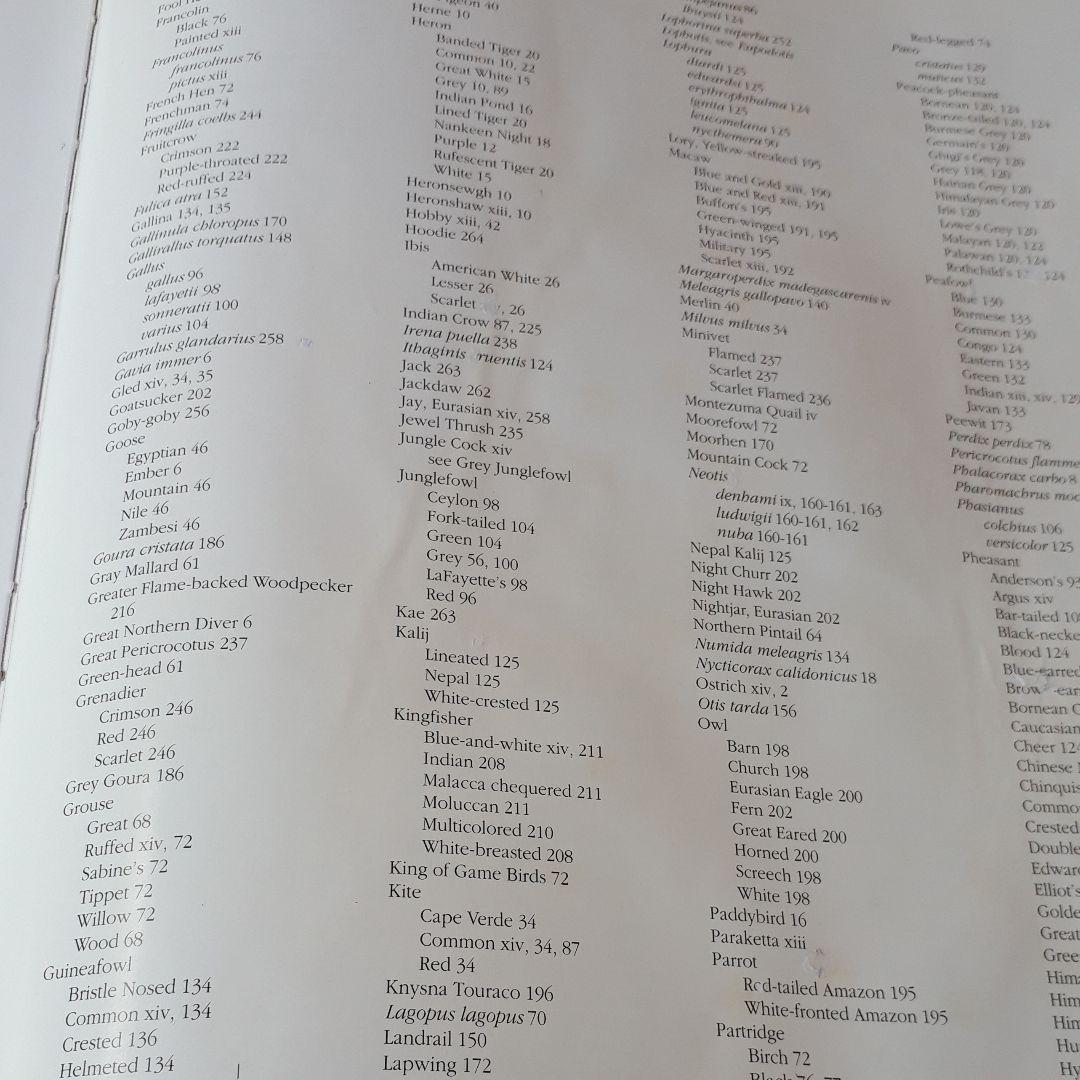 ルアー・フライ Rare and Unusual Fly Tying Materials