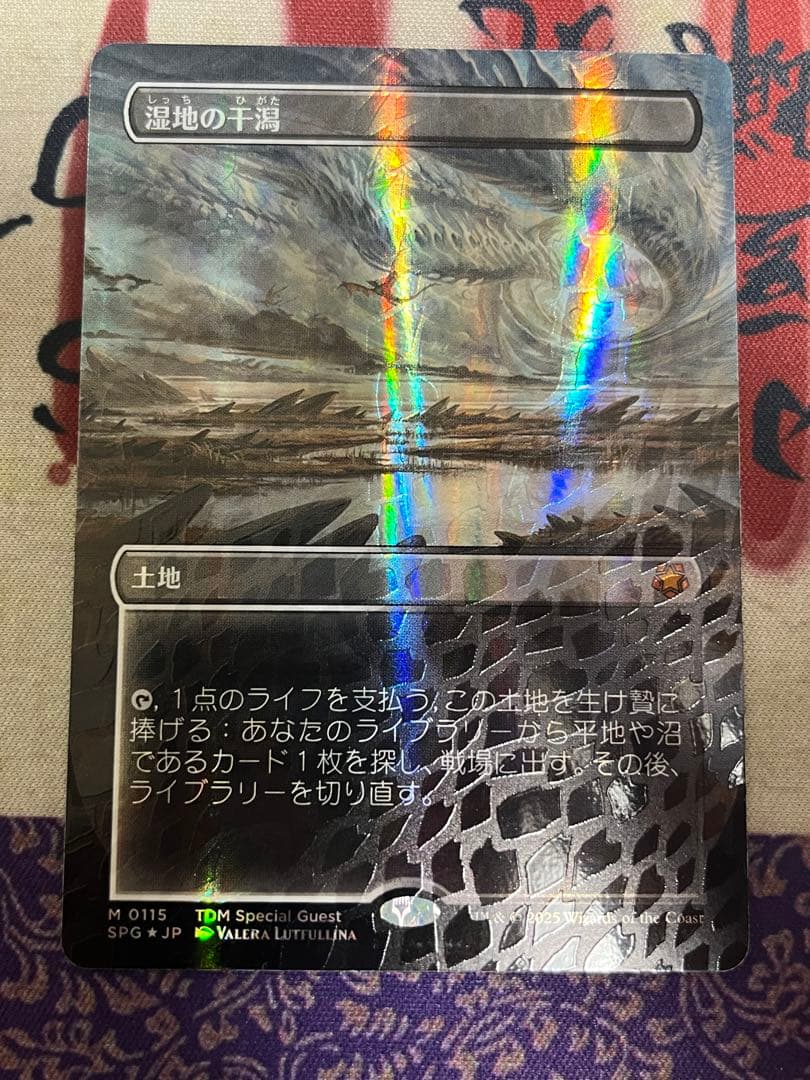 湿地の干潟 日本語　ドラゴンスケイル　FOIL