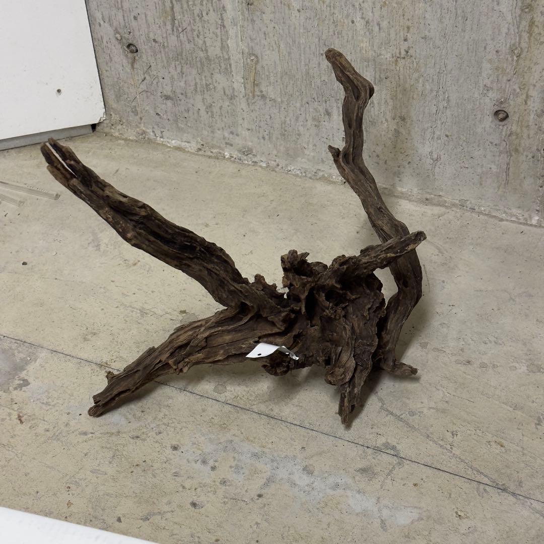 ADA スリムウッド　流木　特大