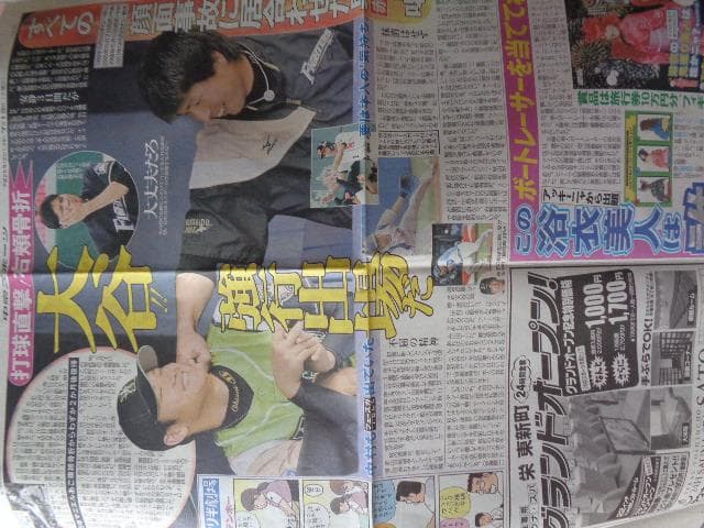 大谷翔平、亀田興毅、白鵬　　大相撲　　2013年