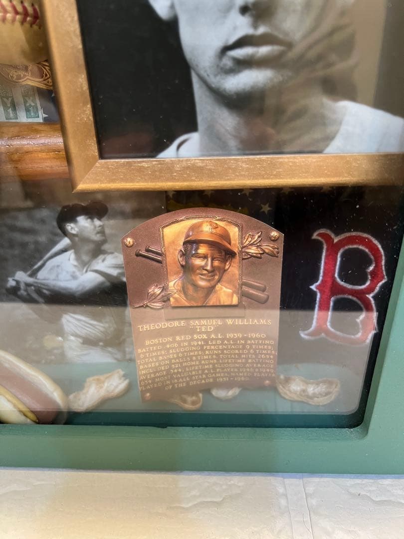 超レア！テッド・ウィリアムズ 記念コレクションBOX