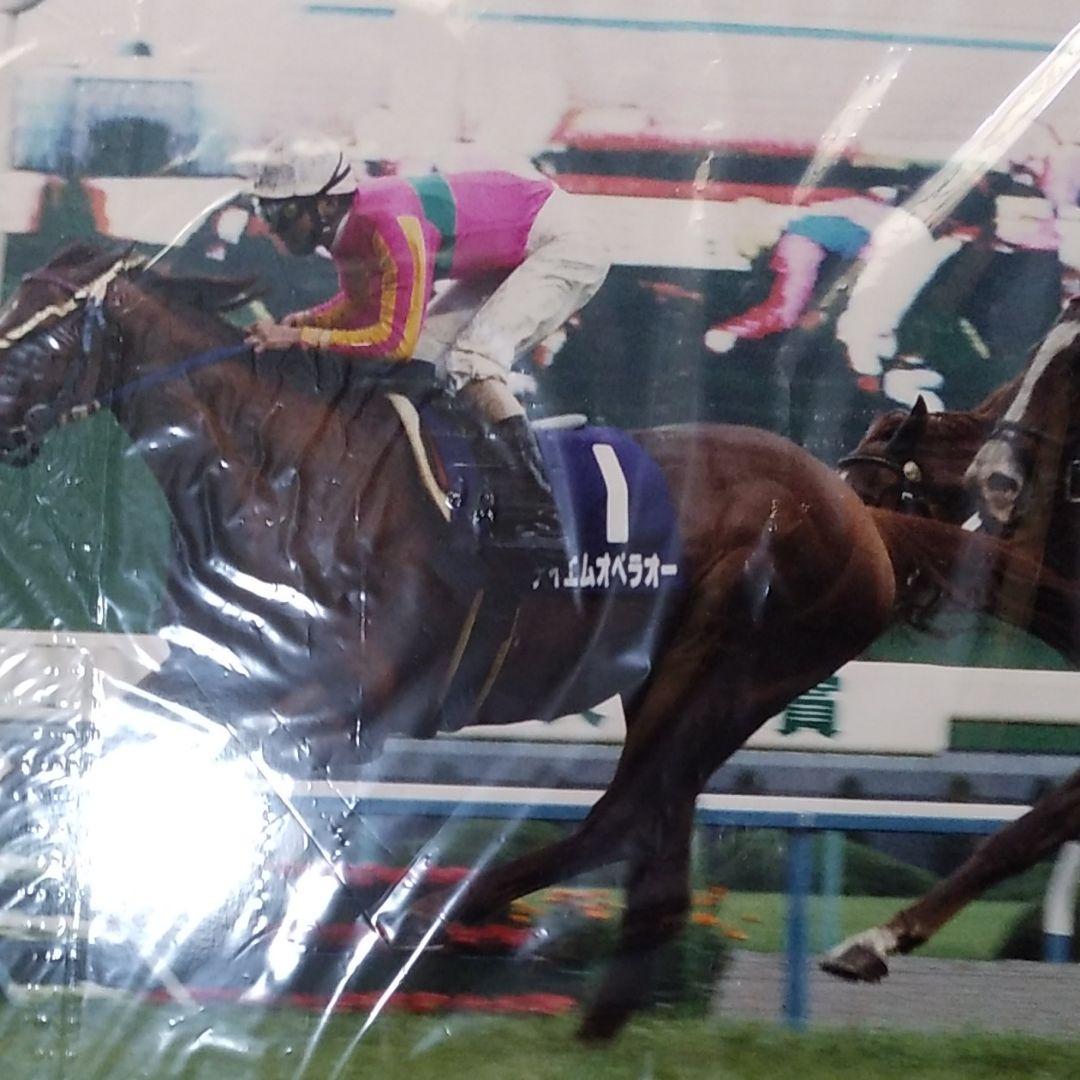 テイエムオペラオーの写真パネル