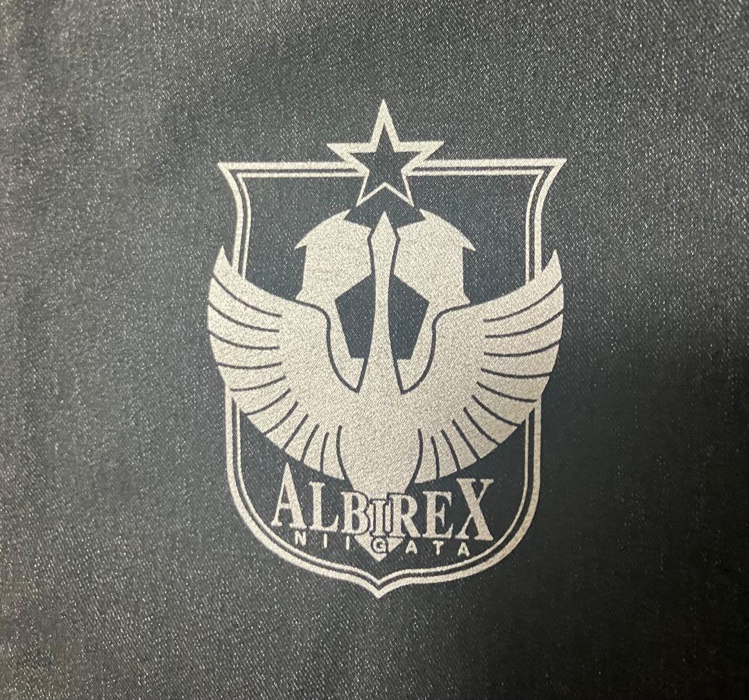 アルビレックス新潟　ウーブンパーカージャケット　サイズＬ