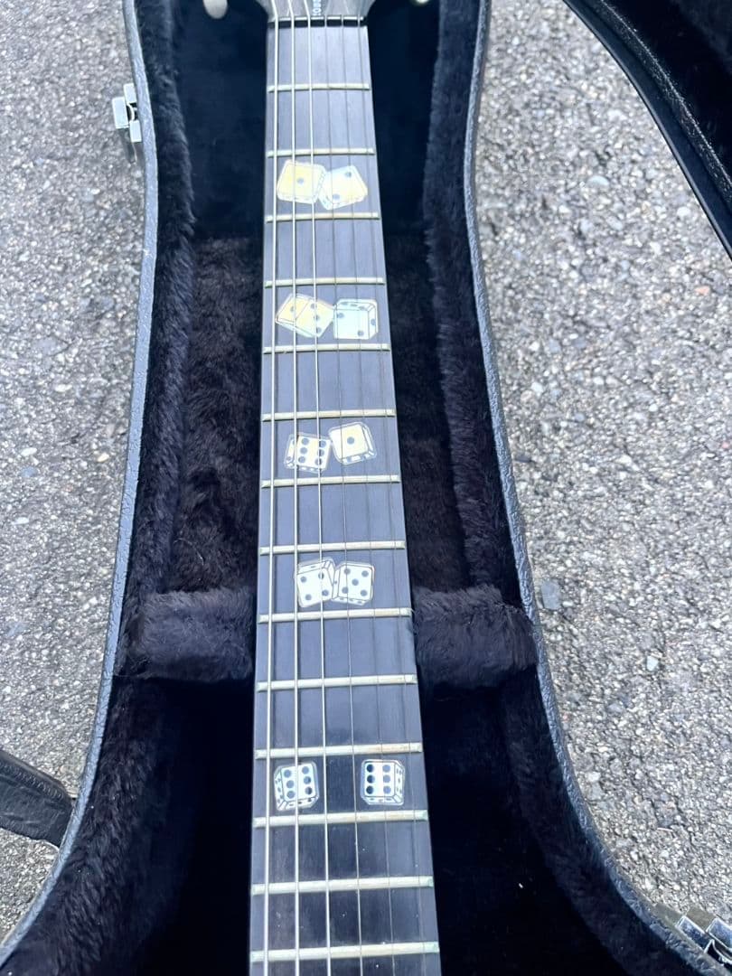 美品 Epiphone Flamekat エレキギター ケース付 希少