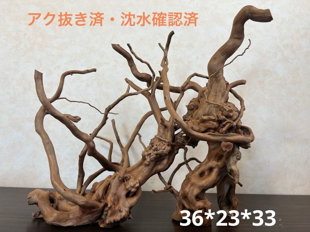 13004 ブランチウッド　流木　アクアリウム　沈水確認済